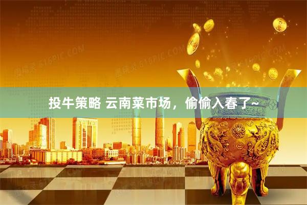 投牛策略 云南菜市场，偷偷入春了~
